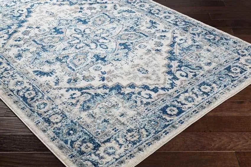 Cannock 9x12 Traditional Blue Area Rug Carpet for Living Room Bedroom or Kitchen (8'10" x 12')