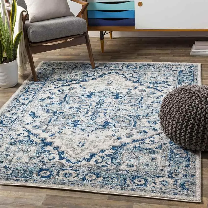 Cannock 9x12 Traditional Blue Area Rug Carpet for Living Room Bedroom or Kitchen (8'10" x 12')