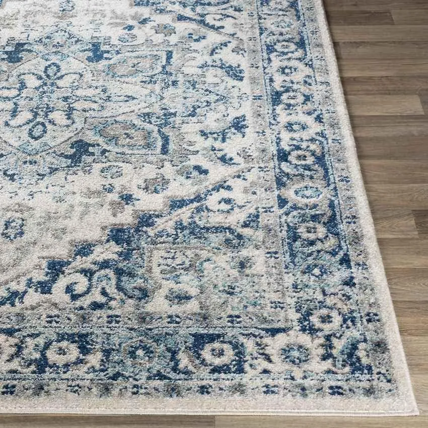 Cannock 9x12 Traditional Blue Area Rug Carpet for Living Room Bedroom or Kitchen (8'10" x 12')