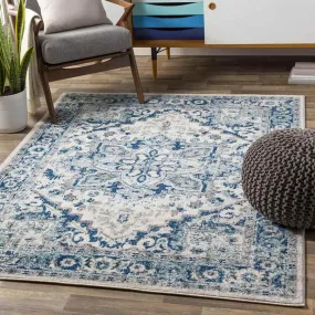 Cannock 9x12 Traditional Blue Area Rug Carpet for Living Room Bedroom or Kitchen (8'10" x 12')