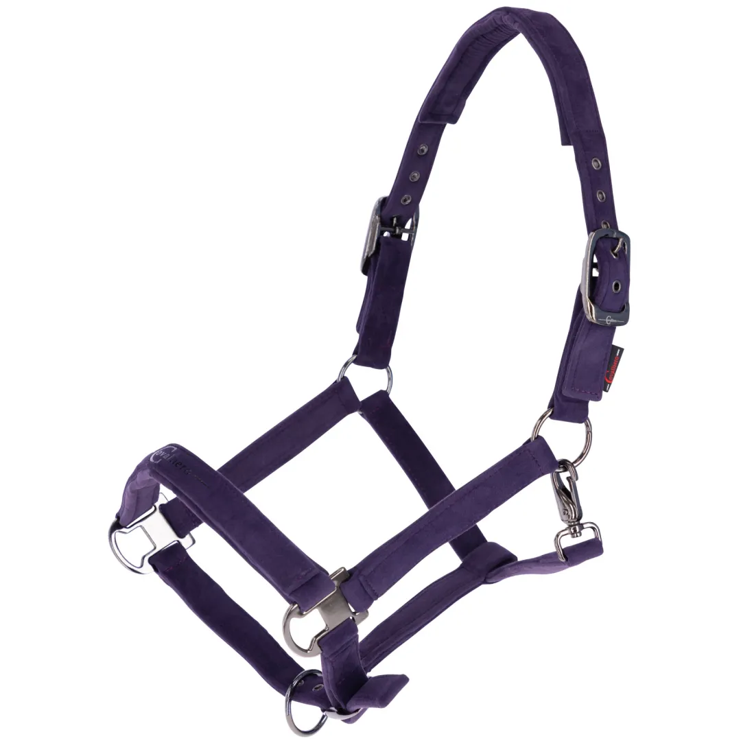 Covalliero Head Collar