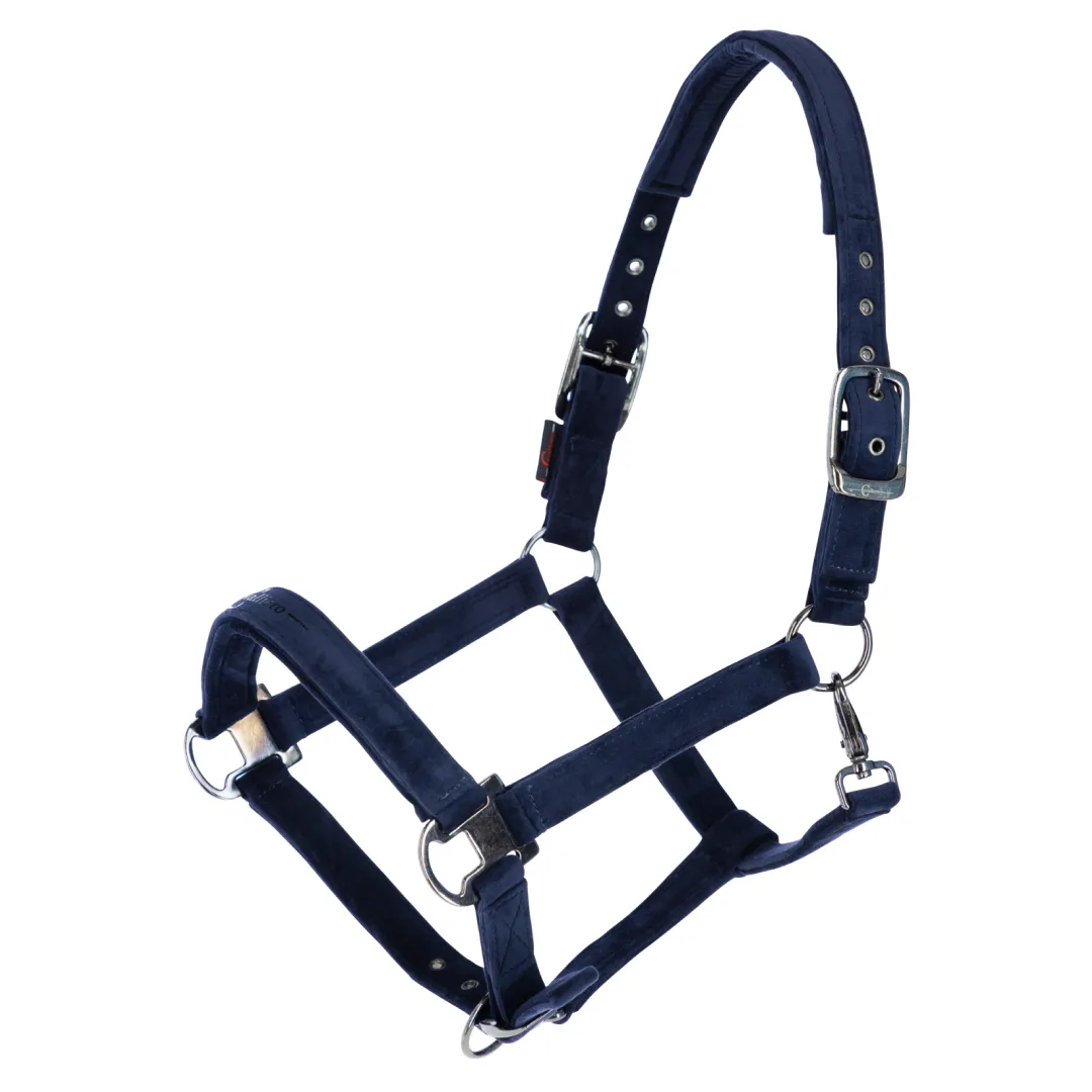 Covalliero Head Collar