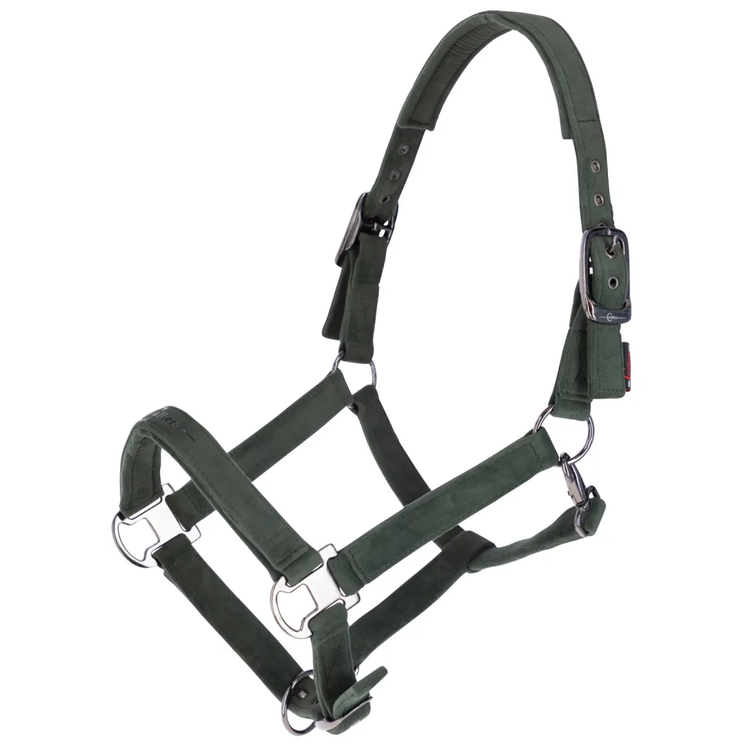 Covalliero Head Collar