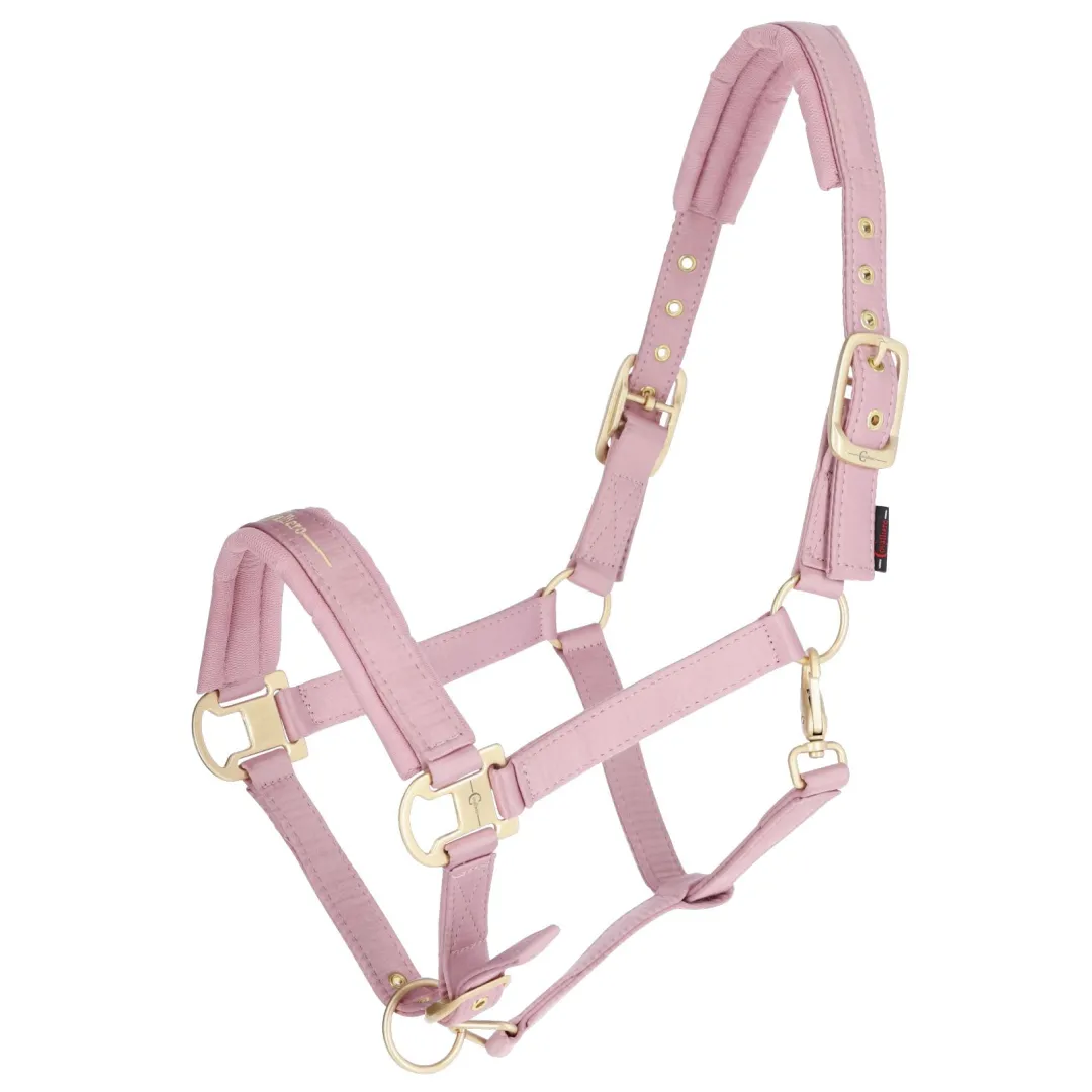 Covalliero Head Collar