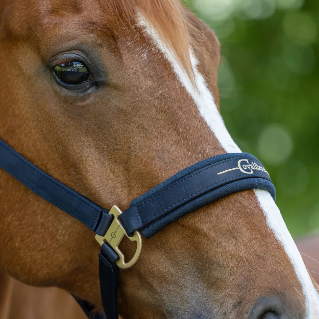 Covalliero Head Collar