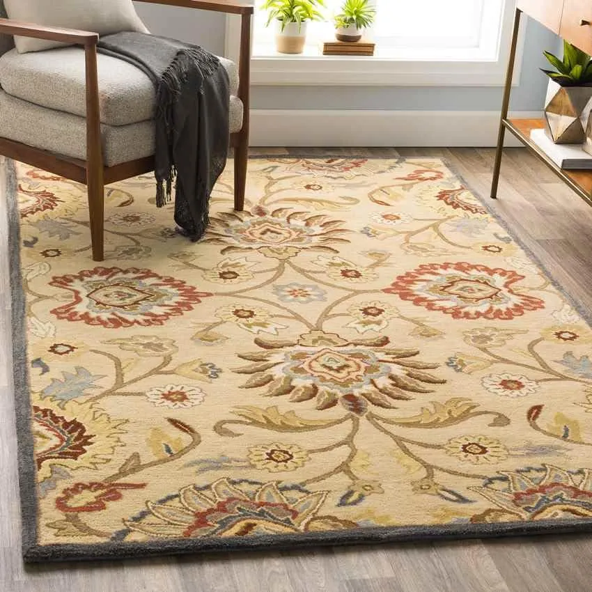 Eckville Traditional Area Rug Carpet for Living Room Bedroom or Kitchen