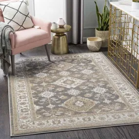 Geffen 9x12 Traditional Brown Area Rug Carpet for Living Room Bedroom or Kitchen (9' x 12')