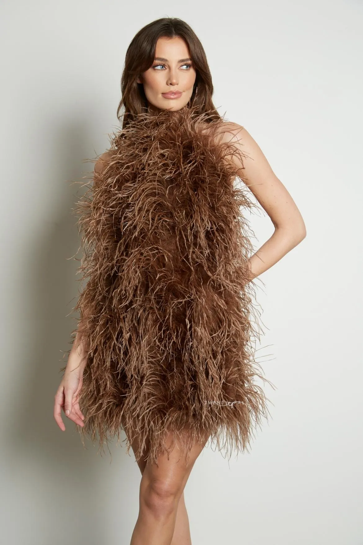 Halter Neck Feather Dress