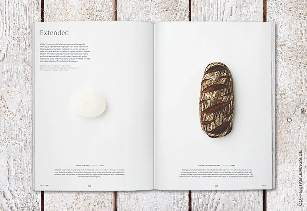 Magazine F – Issue 01: Salt