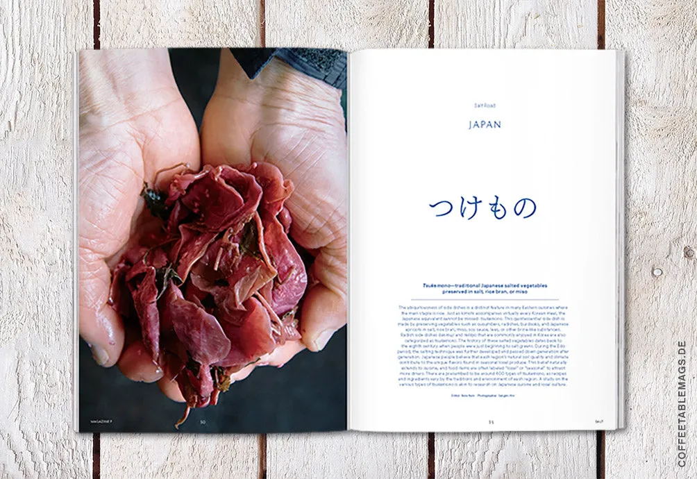 Magazine F – Issue 01: Salt