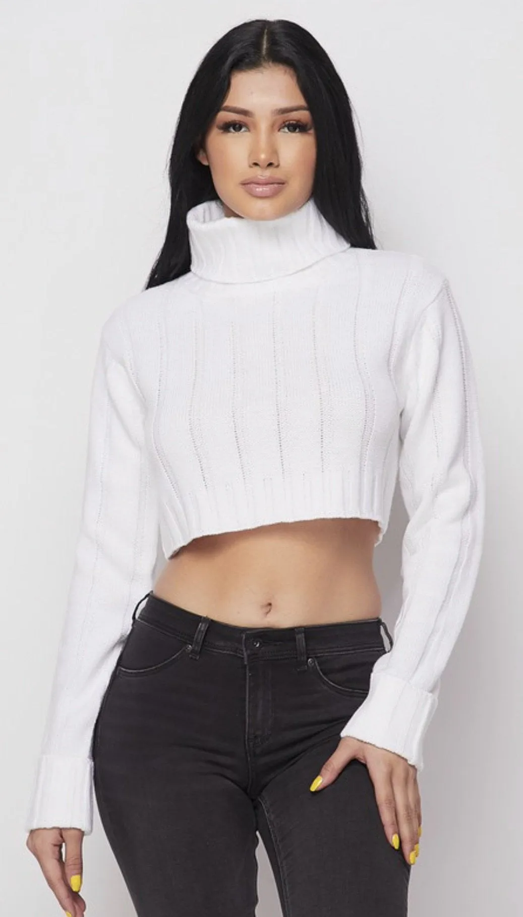 Wide Rib Turtle Neck Crop Top